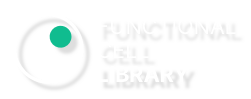 FUNCTIONAL-CELL-LIBRARY